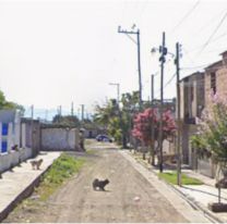 Violento asalto en Jujuy: un hombre fue atacado por dos chorros