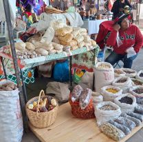 Imperdible! Todo lo que podés encontrar en la Feria Campesina Pucará