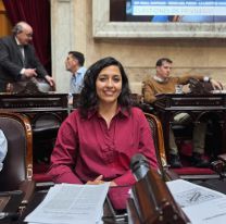 Leila Chaher : "No se puede gobernar por decreto"