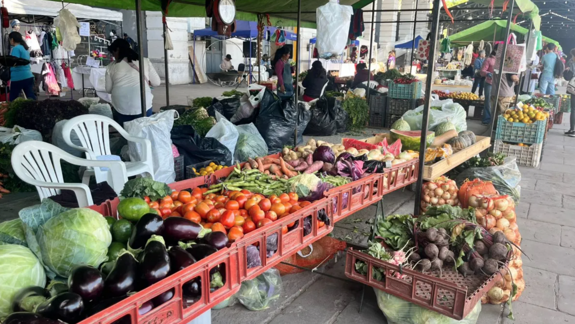 Productores juje�os muy golpeados: las medidas para sostenerse en medio de la crisis