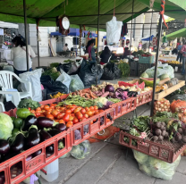 Productores jujeños muy golpeados: las medidas para sostenerse en medio de la crisis
