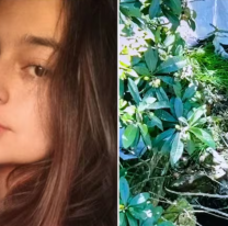 Entre Ríos: la autopsia confirmó lo que le hicieron a Daiana Mendieta