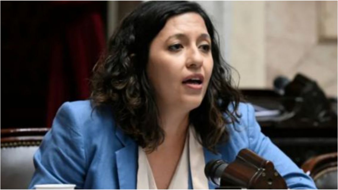 Leila Chaher denunci� vandalismo contra carteler�a de Fuerza Patria