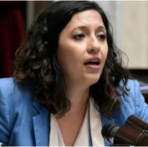 Leila Chaher denunció vandalismo contra cartelería de Fuerza Patria