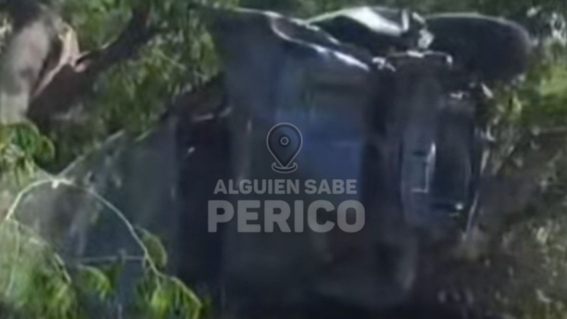 Un enjambre de abejas provocó un violento accidente en Jujuy