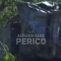 Un enjambre de abejas provocó un violento accidente en Jujuy