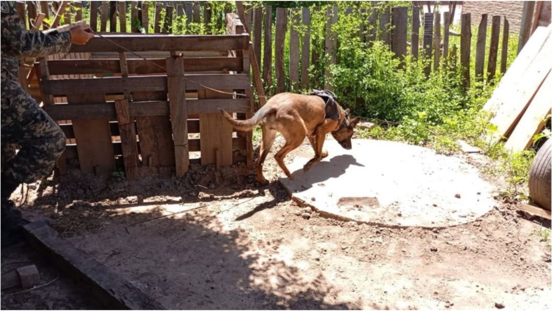 Encontraron sin vida a una joven que estaba desaparecida: hay 5 detenidos