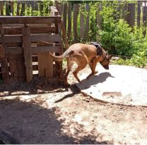 Encontraron sin vida a una joven que estaba desaparecida: hay 5 detenidos