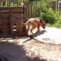 Encontraron sin vida a una joven que estaba desaparecida: hay 5 detenidos