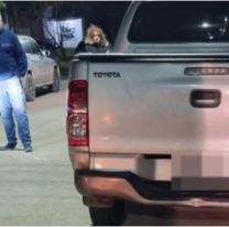 Profesor norteño arreglaba su camioneta y terminó de la peor manera