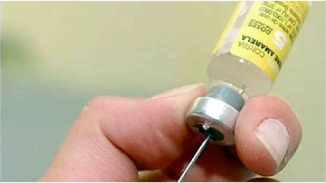 Alerta sanitaria: expertos advierten por riesgo de fiebre amarilla en Argentina