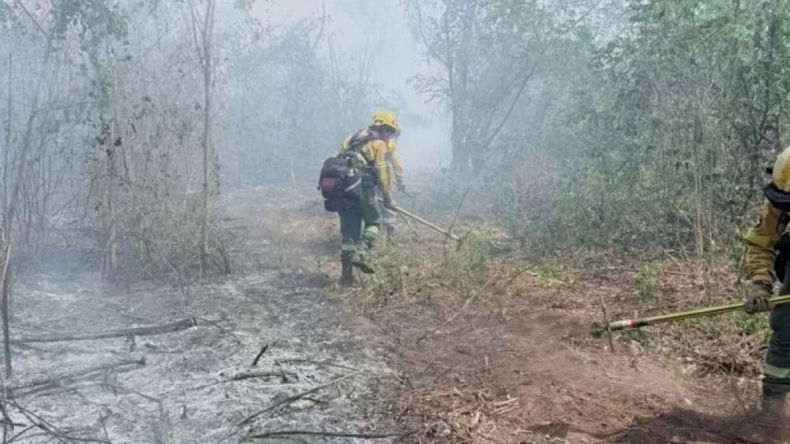 Alarma cerca de Calilegua: más de 100 brigadistas combaten un voraz incendio