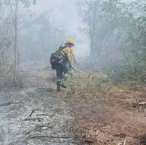 Alarma cerca de Calilegua: más de 100 brigadistas combaten un voraz incendio