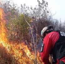 Alarmante avance del fuego en parques nacionales de Jujuy