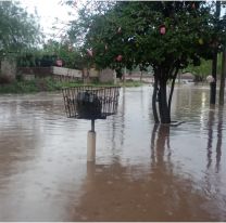 Vecinos de Alberdi sufren inundaciones tras las intensas lluvias en Jujuy