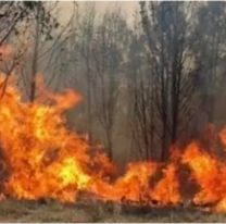 Azucareros habrían sido obligados a apagar incendios sin capacitación