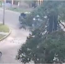 Sin piedad: atropellaron a una joven de 19 años, quedó grave y se fugó