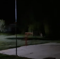 Chorros dejaron sin luz a un barrio entero de Jujuy y a un tramo de ruta: lo que hicieron