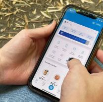 "No puedo transferir": se cayeron Mercado Pago, Ualá y otras billeteras virtuales