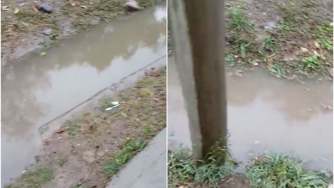 Vecinos de barrio Belgrano denuncian un grave problema de anegamiento sobre avenida Mitre