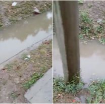 Vecinos de barrio Belgrano denuncian un grave problema de anegamiento sobre avenida Mitre