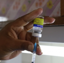 Vacunación gratuita contra la fiebre amarilla: quiénes deben aplicársela y dónde hacerlo en Jujuy