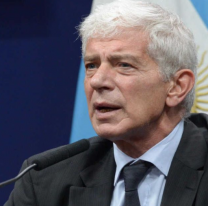 Otra baja en el Gobierno de Javier Milei: se va Cúneo Libarona de Justicia