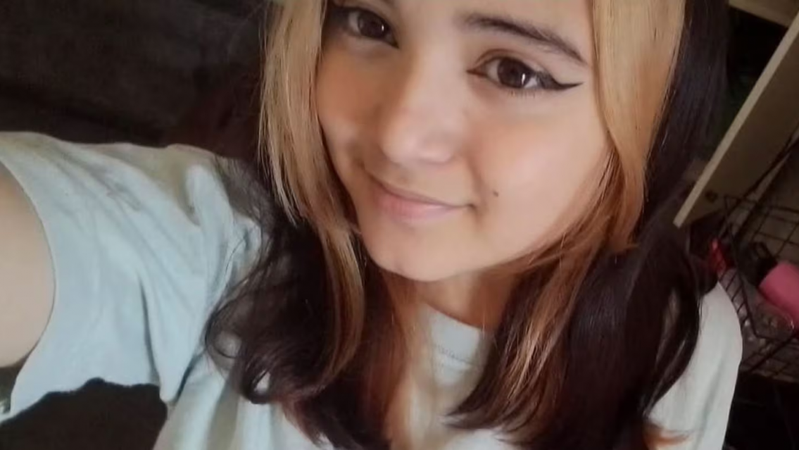 Salió a la escuela y nunca volvió a casa: sospechan que se la llevó un hombre