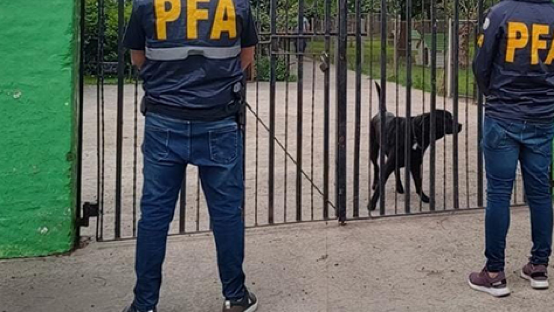 Medida insólita en el norte: perro mordio a una nena y allanaron la casa de los dueños