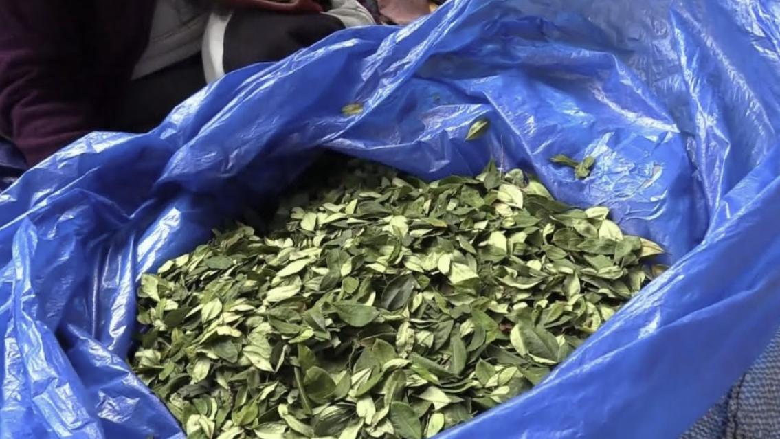 Alevoso cargamento norte�o de coca no pas� el control: 80 kilos