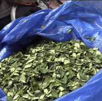 Alevoso cargamento norteño de coca no pasó el control: 80 kilos