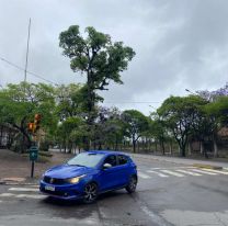 "Mini otoño" en Jujuy: se vienen varios días fríos