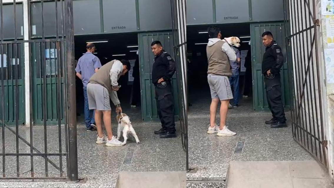 ¿Qué pasa si voy a votar con mi mascota? Lo que hay que saber