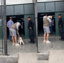 ¿Qué pasa si voy a votar con mi mascota? Lo que hay que saber