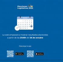Elecciones 2025: d&oacute;nde ver los resultados oficiales del escrutinio en Jujuy y el pa&iacute;s