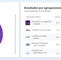 La Libertad Avanza salió primera en Jujuy y obtiene dos bancas