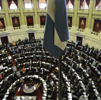 El nuevo Congreso: así quedó conformada la Cámara de Diputados de la Nación