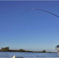 Comenzó la veda de pesca en Jujuy: cuáles son los ríos y zonas alcanzadas