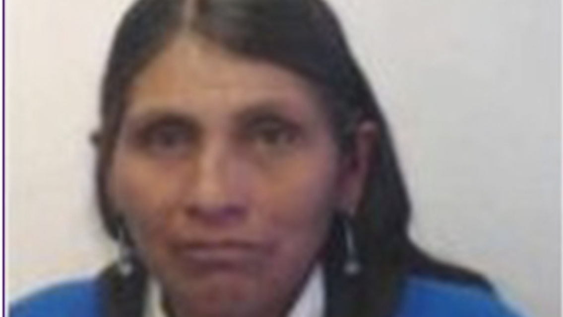 Desesperada búsqueda de una mujer desaparecida en el norte jujeño