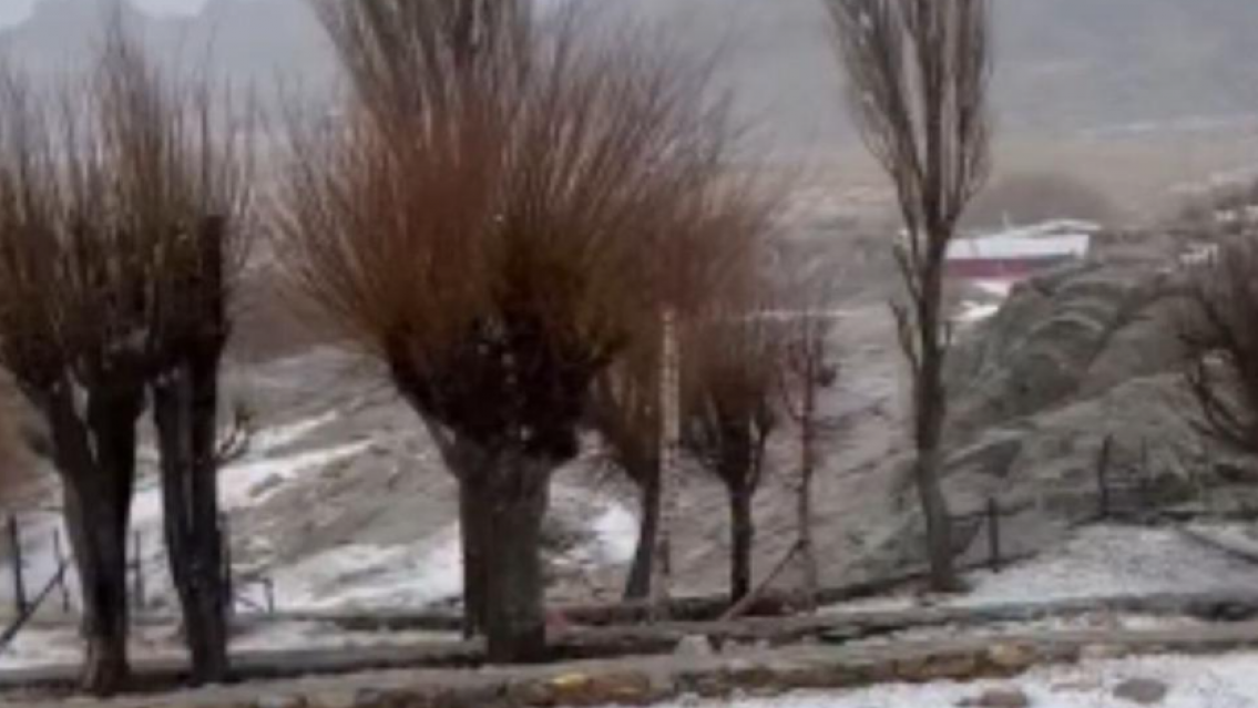 Incre�ble: cay� nieve en plena primavera 