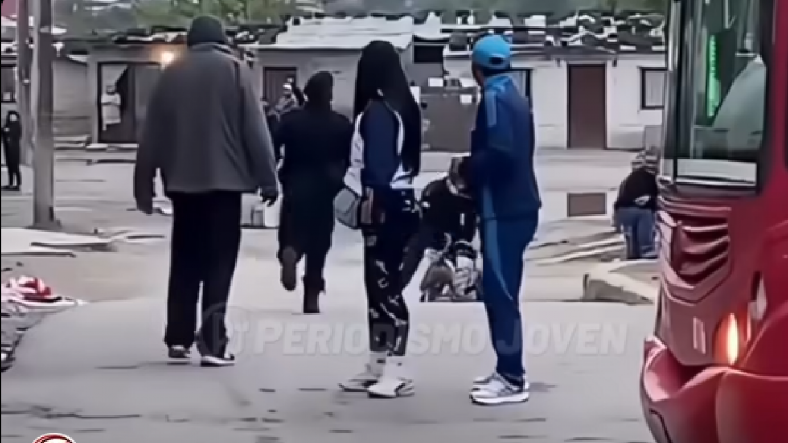 Perrito jujeño agarró a un chorro y se vistió de héroe: todo quedó filmado