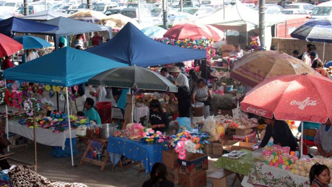 �Cu�nto cuestan las flores?: precios de claveles y coronas para el D�a de las Almas en Jujuy