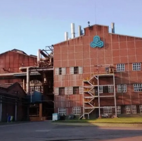 La empresa Ledesma echó a más empleados: ya van 222 despidos en el año