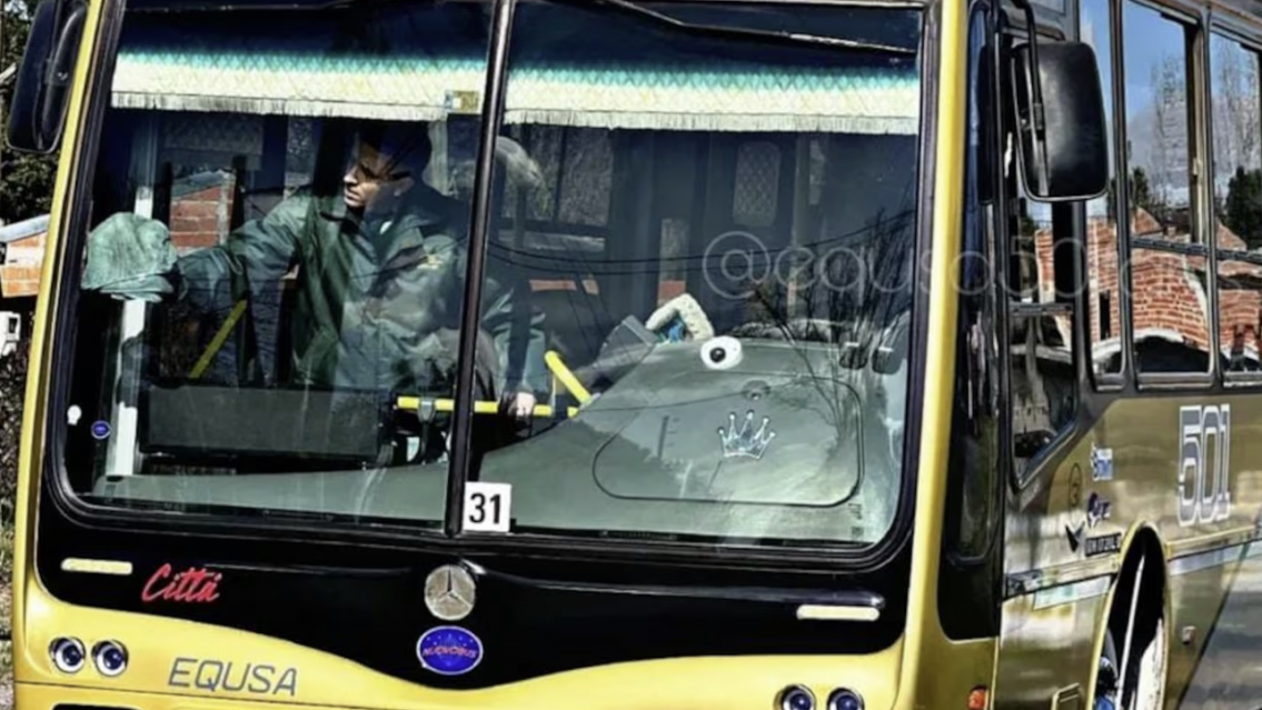 La vida da vueltas: vieron a este ídolo trabajando como colectivero