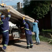 ¿En qué barrios habrá descacharrado? Fechas y horarios del operativo en Jujuy