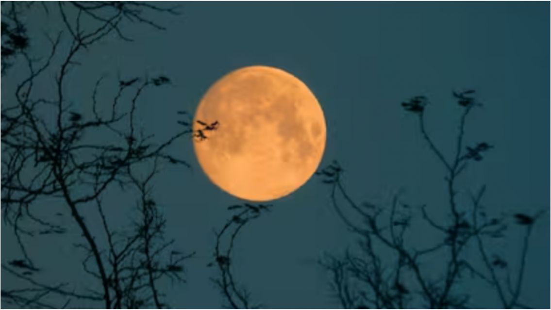 Esta noche llega la "Luna del Castor": la superluna mas grande del a�o