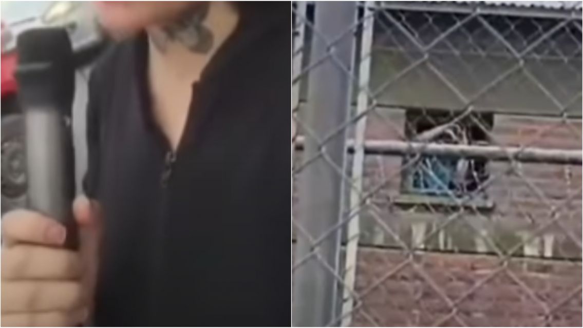 Juje�a le llev� serenata a su pareja detenido: "No nos van a separar"