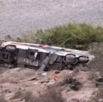 [URGENTE] Micro chocó contra una camioneta en una ruta: murieron 37 personas