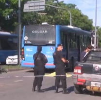Estudiante de 23 años iba en su bici y fue atropellada por un colectivo: falleció