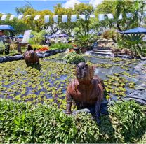 Comenzó la 5° Edición de Jujuy Florece: feria de plantas y talleres de jardinería